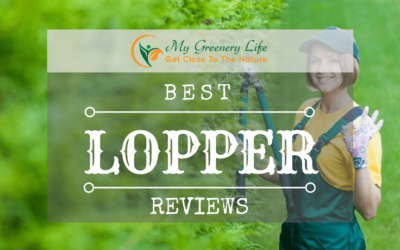best-lopper-reviews-1