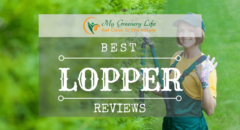 best-lopper-reviews-1