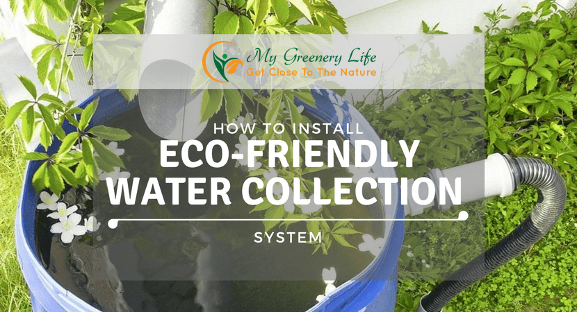 how-to-install-eco-friendly-water-collection-system-1