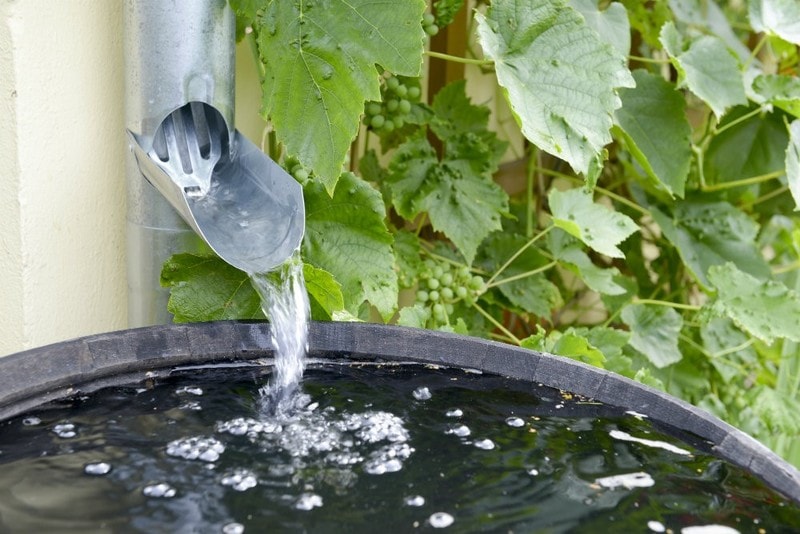 how-to-install-eco-friendly-water-collection-system-2