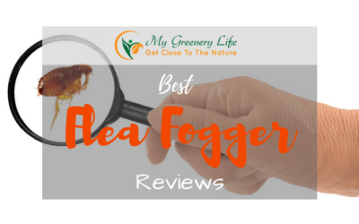 top-10-best-flea-fogger-reviews-1