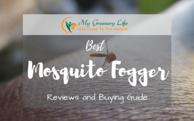 Best-Mosquito-Fogger-Reviews