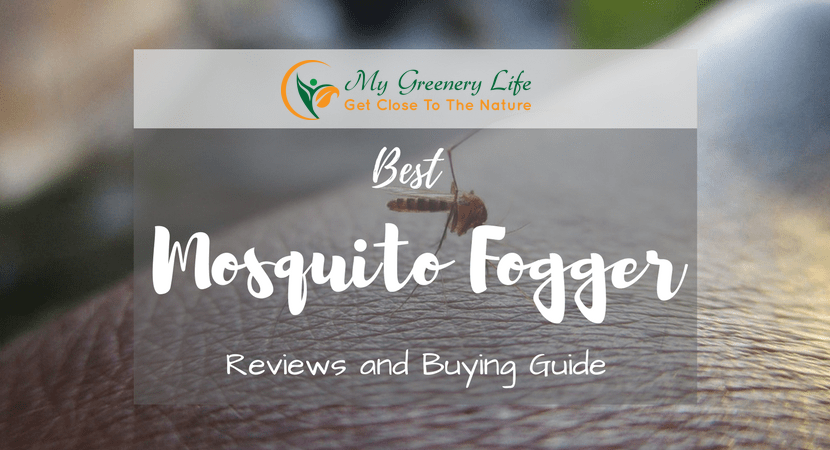 Best-Mosquito-Fogger-Reviews