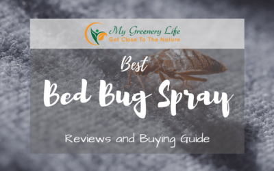 best-bed-bug-spray-reviews