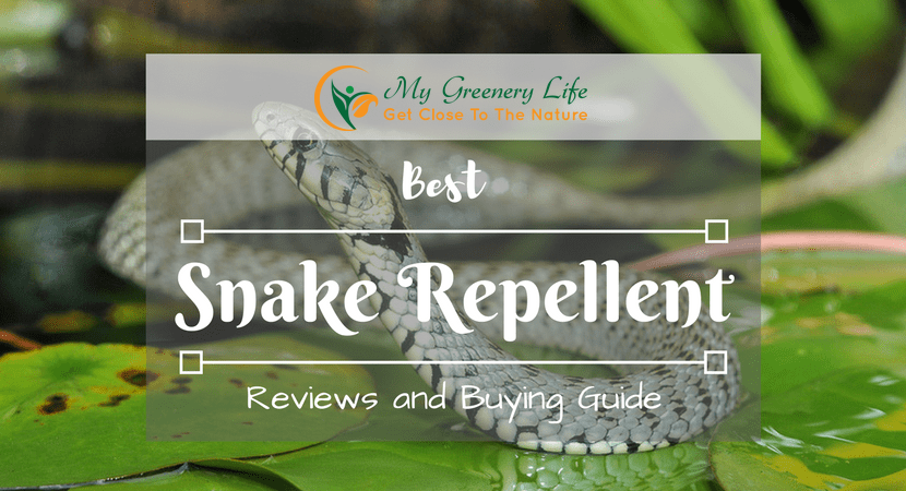 best-snake-repellent-reviews-2018