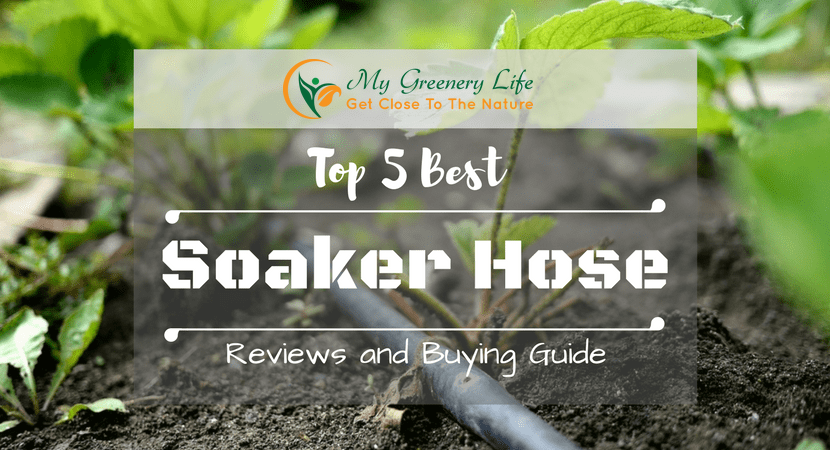 https://mygreenerylife.com/wp-content/uploads/2017/10/top-5-best-soaker-hose-reviews-1.png