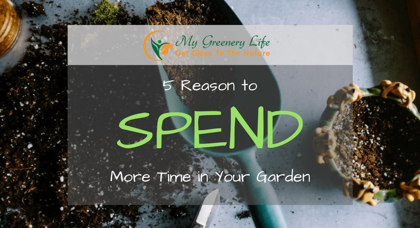 5-reasons-to-spend-more-time-in-garden-1