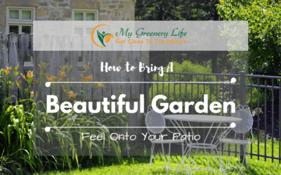 How-To-Bring-A-Beautiful-Garden-Feel-Onto-Your-Patio