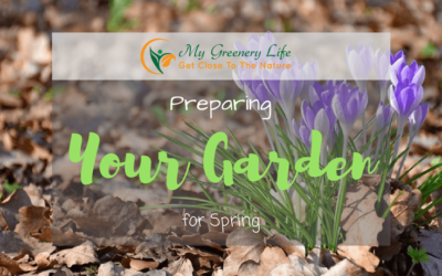 Preparing-Your-Garden-For-Spring-1