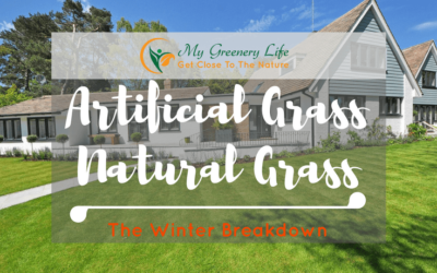 artificial-grass-vs-natural-grass-1