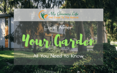 look-after-your-garden