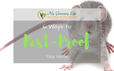6-ways-to-pest-proof-your-home-1