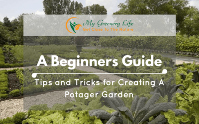 Tips-and-Tricks-for-Creating-A-Potager-Garden-1
