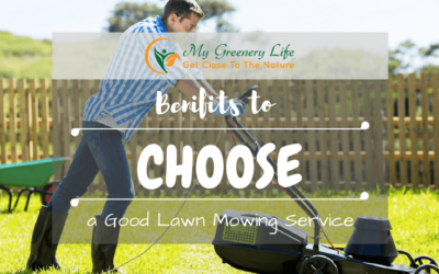 benefits-to-choose-good-lawn-mowing-service-1