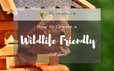 how-to-create-a-wildlife-friendly-garden-1