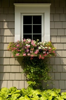 window-box-decor-picking-the-best-flowers-2