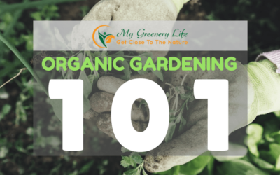 organic-gardening-101-1